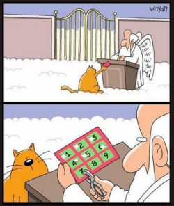 1614591618774.png