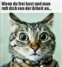 8C7CE250-47E2-43F9-AC9E-CA43632792F7.jpeg