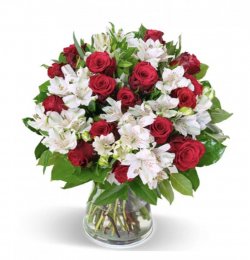 6F75FDCE-64A1-4EFF-A4B6-815AFDB56BE3.jpeg