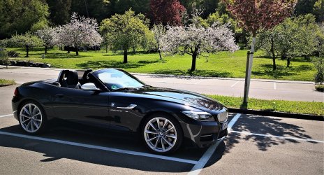 IMG_20200425_152515 (2) - Kopie.jpg