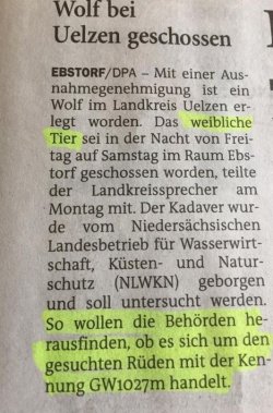 3Unbenannt - Kopie.JPG
