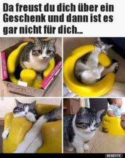 1614963761414.jpeg
