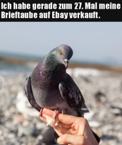 1615043535197.png