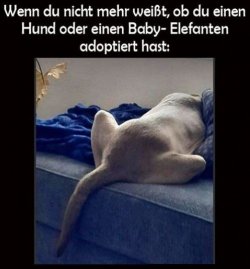 tUnbenannt - Kopie.JPG