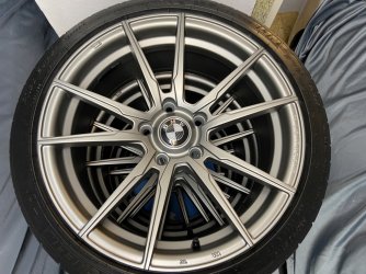 IMG_2499 (Mittel).JPG