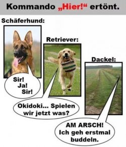 94CDCDE1-6725-48F2-A812-3F002357D7CF.jpeg