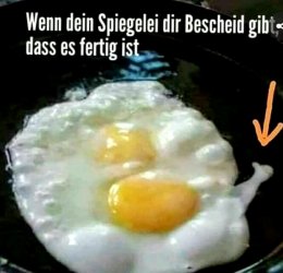 A11BCE86-13ED-4AE9-9380-F69E6F6B88B9.jpeg