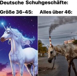 10Unbenannt - Kopie.JPG