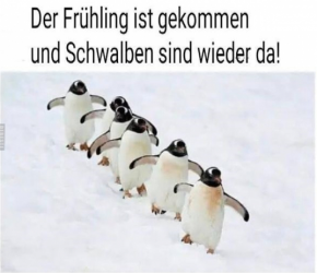 1615792838380.png