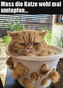1615961605008.png
