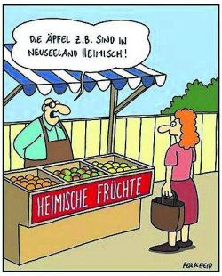 1Unbenannt - Kopie.JPG