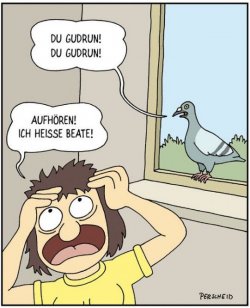 1Unbenannt - Kopie.JPG