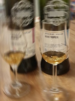 20210319_210945.jpg