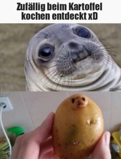 1843B7D6-D26B-42CB-896B-4BEC466EF100.jpeg