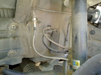 20200816_120040a.jpg