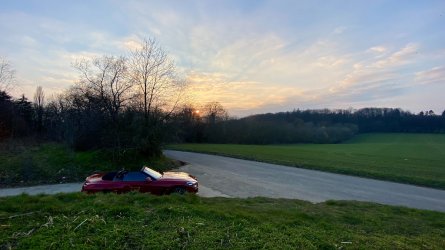 IMG_5184.jpeg