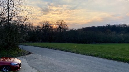 IMG_5183.jpeg