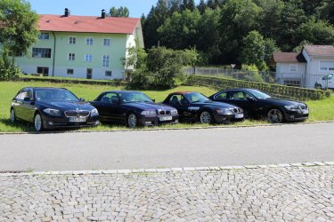 IMG_1697 (Medium).JPG