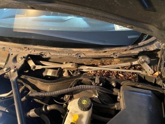 IMG_0746_1.JPG IMG_0746_1.JPG