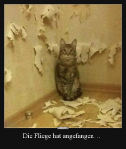 1617196464435.png
