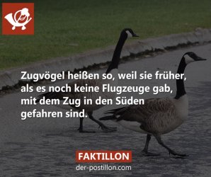 D4CC884B-CF51-470D-93E4-396DCD228170.jpeg