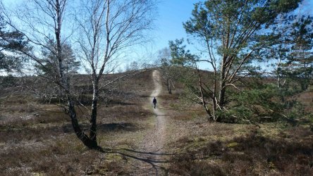 1050457 Kopie.jpg