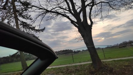 IMG-20210408-WA0036.jpeg