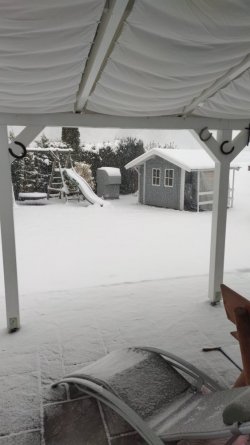 IMG-20210407-WA0000.jpeg