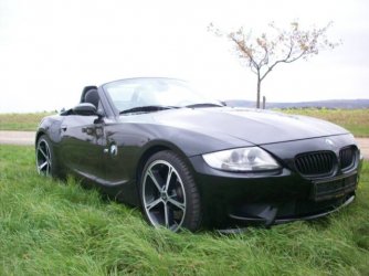 z4m2.JPG