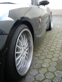 IMGP3683.jpg