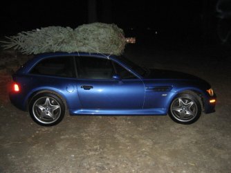 Weihnachtsbaum.jpg