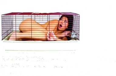 Artgerechte Haltung.jpg