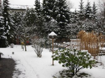 winter08.jpg