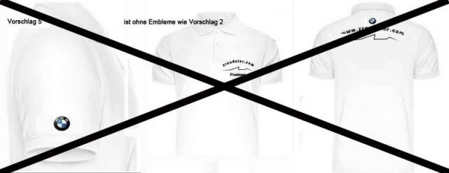 Vorschlag 5 BMW Logo Rücken Ärmel Grafik Rücken.jpg