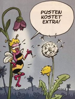 6Unbenannt - Kopie.JPG