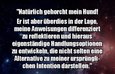 6Unbenannt - Kopie.JPG