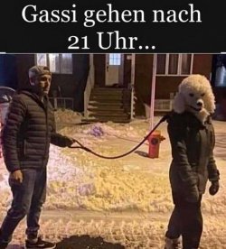 9Unbenannt - Kopie.JPG