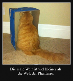 1619076599746.png