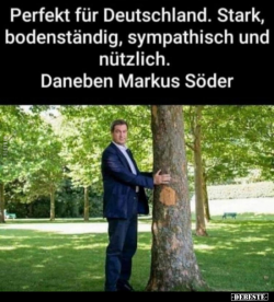 1619076832773.png