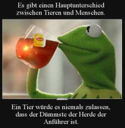 1619165522493.png