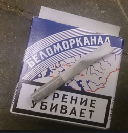 1619166386772.png