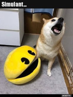 1619248296652.jpeg