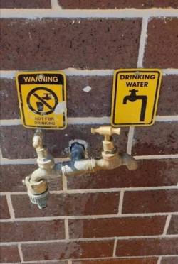 1619254060366.png