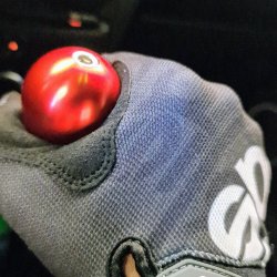 IMG_20210410_163432_078.jpg