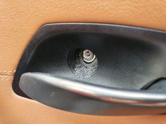 550.jpg