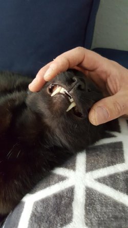20160430_130913.jpg