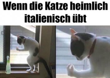 tUnbenannt - Kopie.JPG