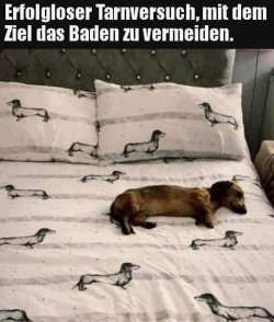 ttUnbenannt - Kopie.JPG