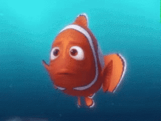 1824AC8E-DD30-4B5E-AAE6-F4E23F42DBEC.gif