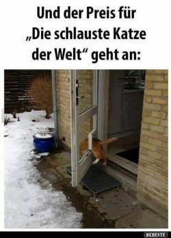 1619549816048.jpeg